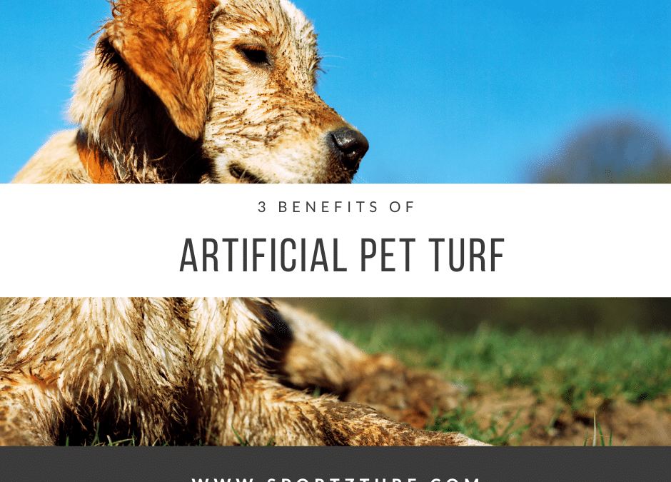 3 Benefits of Artificial Pet Turf