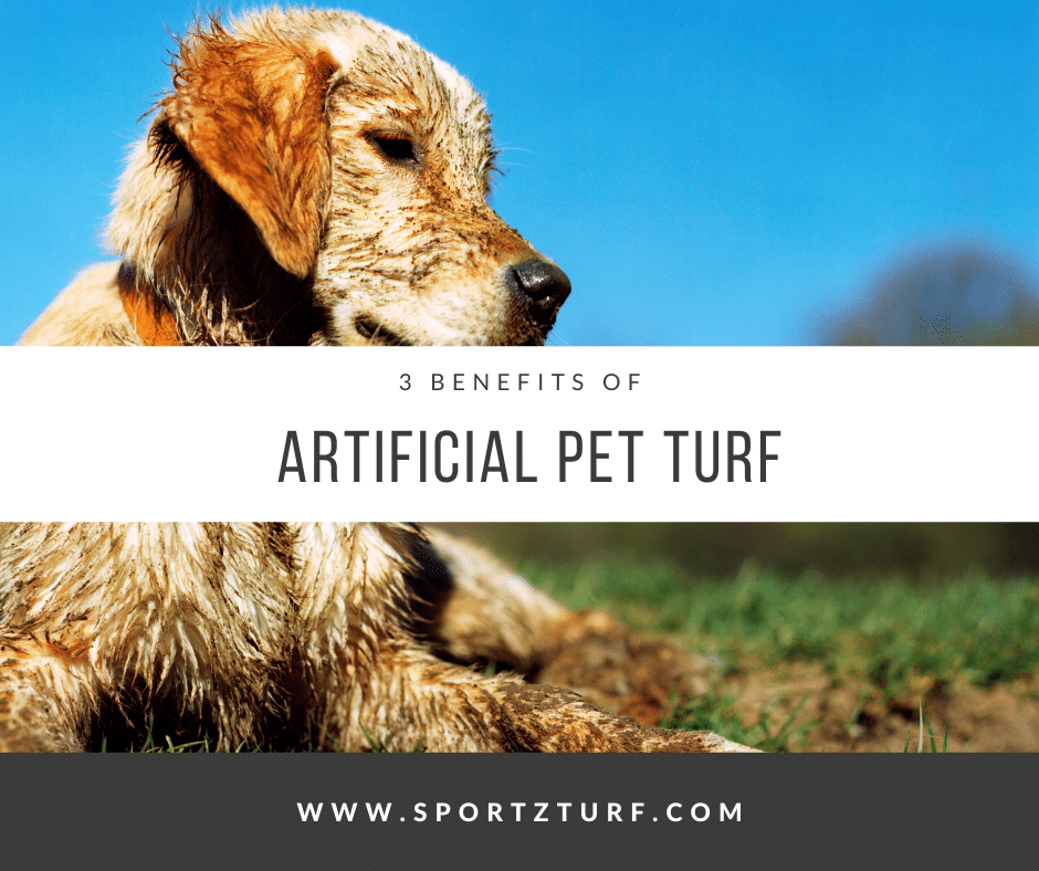 3 Benefits of Artificial Pet Turf