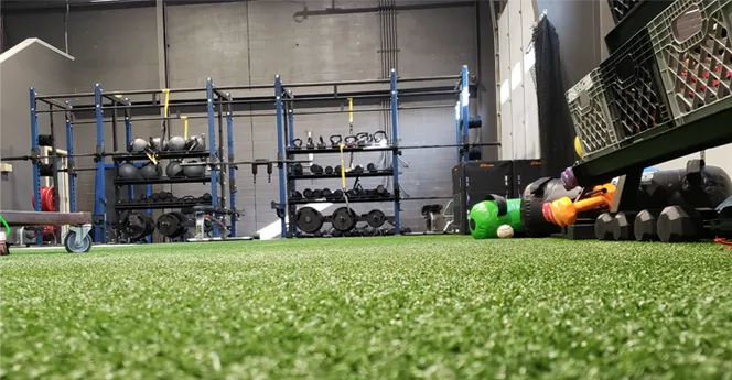 indoor turf for lifting and training