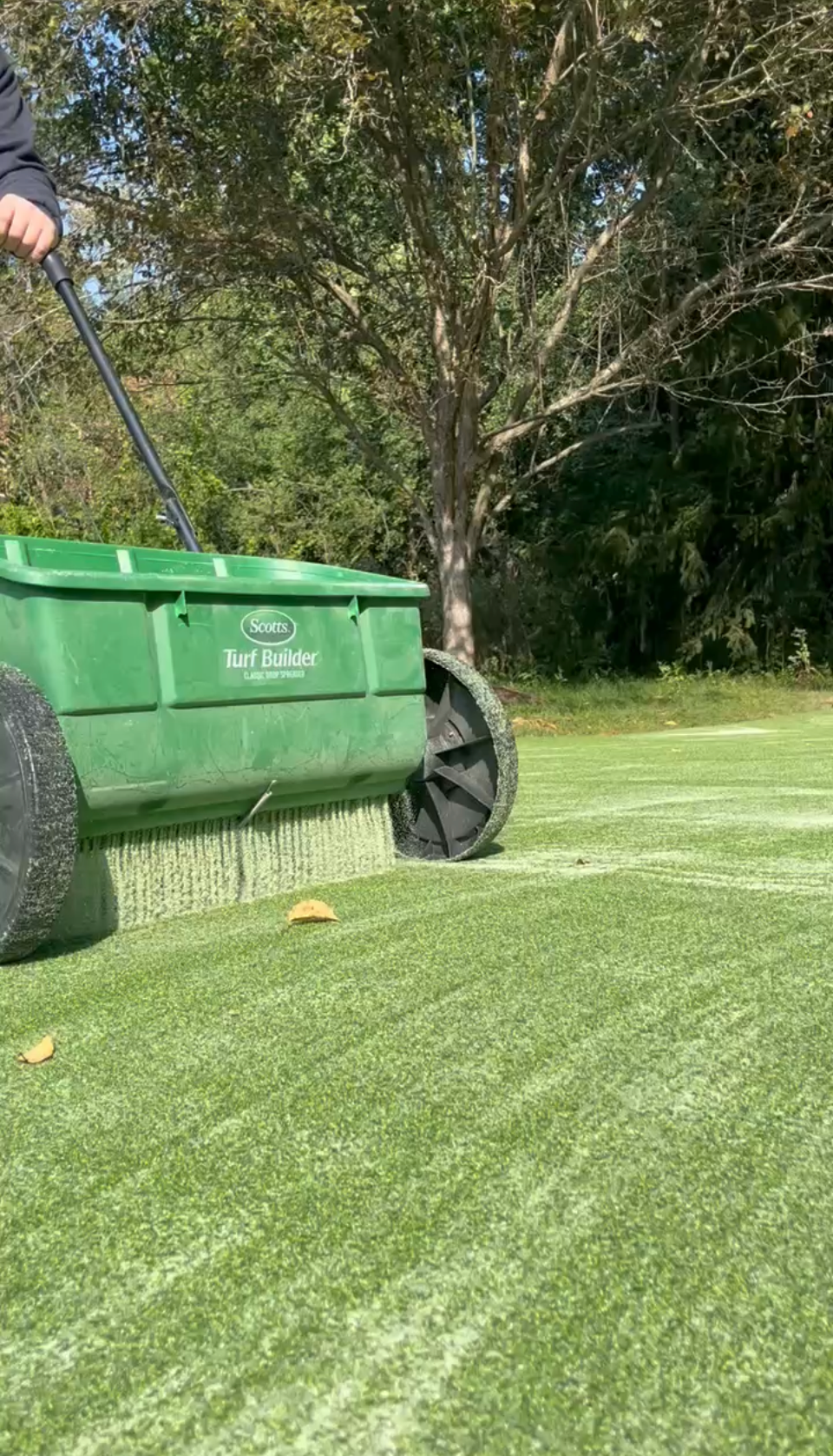 Low-angle photograph of a technician applying fine, cooling infill sand to a newly installed artificial grass lawn.